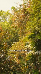 10K views · 10K reactions | Join Kylie Verzosa as she escapes into nature, uncovering endless serene spots in Hong Kong to pause and unwind. | Discover Hong Kong | Facebook