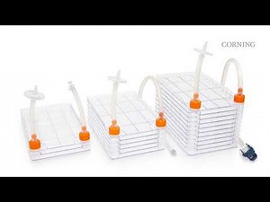 Corning クローズド システム CellSTACK 容器で細胞培養を効率化