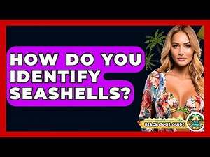 How Do You Identify Seashells? - Beach Tour Guide