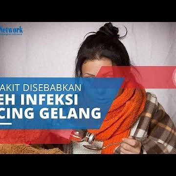 Askariasis, Infeksi Cacing Gelang yang Masuk ke Tubuh dan Sebabkan Berbagai Masalah Kesehatan