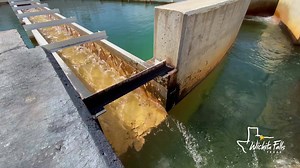 The City of Wichita Falls will take the next step in the water rights application process during an upcoming virtual Public Meeting on August 25th. Public Works Director, Russell Schreiber, talks about the history of the project and why Lake Ringgold is needed in order to meet future water supply needs for Wichita Falls and many surrounding communities. For more information visit: https://bit.ly/LakeRinggold | City of Wichita Falls, Texas Government