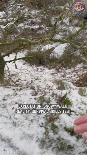 Icy trail turns dog walk into chase | Bright Side