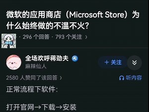 微软的应用商店（Microsoft Store）为什么始终做的不温不火？