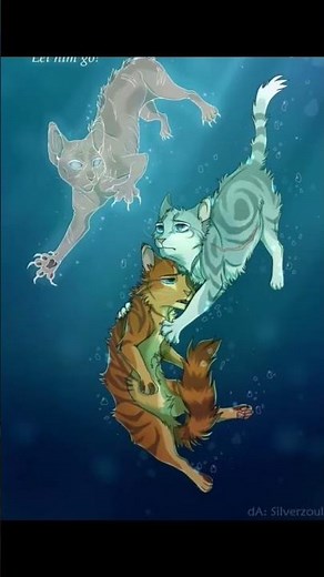 warrior cats ships, NOT EVERY SHIP