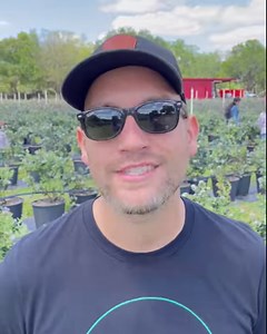5.9K views · 272 reactions | Stock up on Florida blueberries with Wish Farms! | Fresh From Florida | Facebook
