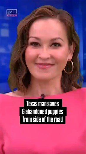 A driver spotted six abandoned puppies, which appeared to be just weeks old, on the side of the road. A good Samaritan named Steven Purcell scooped them all out and put them in his truck, taking them to the vet where they were found to be in good health. When it was time to put them up for adoption, Purcell made a video introducing each one – and all six puppies were adopted. #Puppy #Rescue #Adoption #Texas | Inside Edition