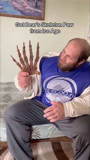 Training program in bio! #andreysmaev #gymtok #bear #bodybuilder #fitness