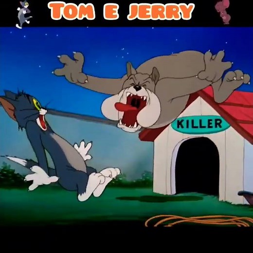 JERRY SOLTOU O SPIKE PARA PEGA O TOM!!! | ANIMAÇÃO DO TOM E JERRY #shorts