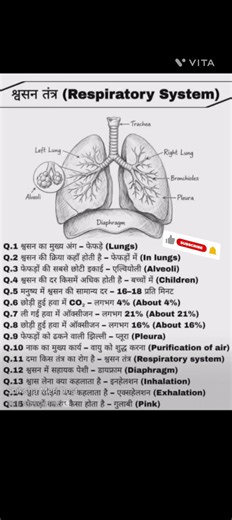 #Respiratory system
