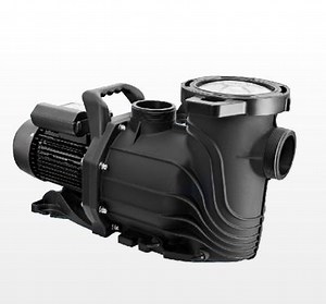 [Hot Item] Sfe Swimming Pool Pump Variable Speed Pump