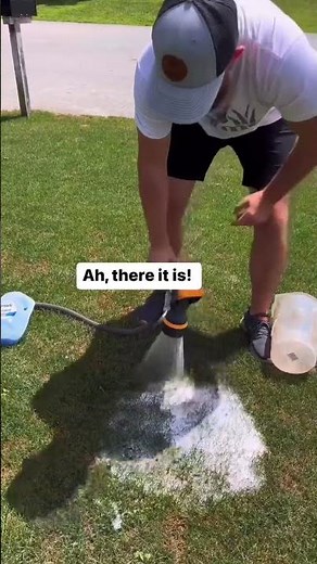 Army worms are the worst! #shortsvideo #lawn