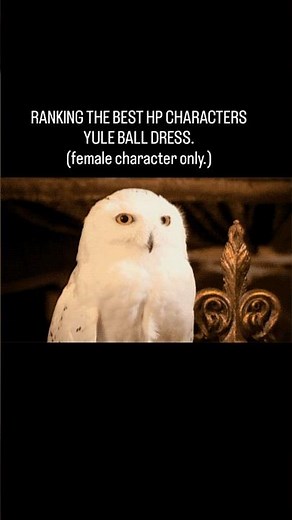 Best yule ball gowns of HP. #hogwarts #harrypotter #yuleball #ginny #chochang #fluer #hermione