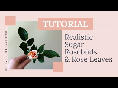 How to Make a Realistic Sugar Rosebud & Rose Leaves | Gumpaste Rosebud Tutorial for Beginners!