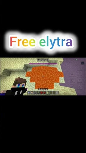 Free elytra #minecraft