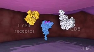 78K views · 488 reactions | What happens when a virus manages to...