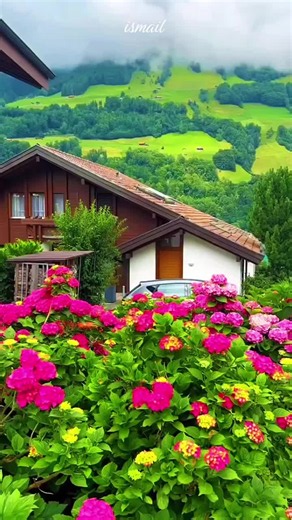 Beautiful Switzerland travel highlights | 100k views footage