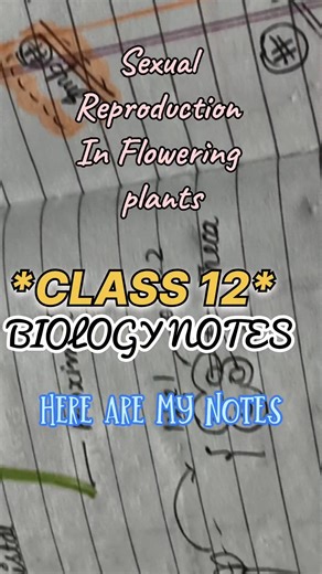 Biology Notes 📚 | PW + NCERT Study Routine 🧬 #shorts#physicswallah #shorts #youtubeshorts #nexttoppe