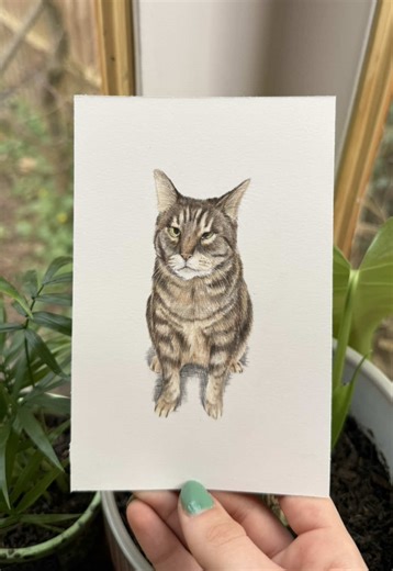 “She was so sweet and social, she loved people and snuggling. She was also crosseyed which just made her even cuter to us.” - The words of a lovely woman who commissioned this drawing of her beautiful cat Kitty🩶 #catsoftiktok #catlover #catmom #artist #petportrait