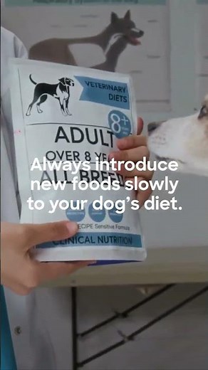 Can Dogs Eat Bananas? 🐶🍌 #dogs #doglover #petcare #doghealth