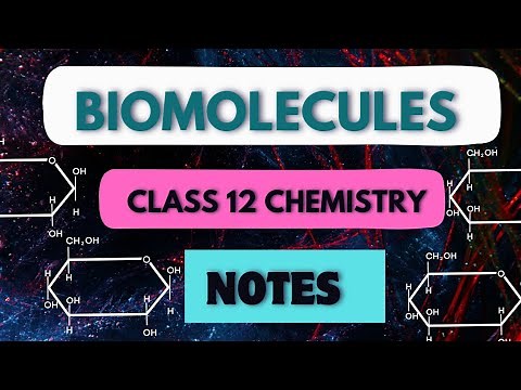 Biomolecules Class 12 Chemistry Handwritten Notes with Free PDF 🔥