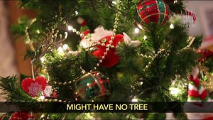 We've got the perfect song to get you through the Christmas tree shortage. | The Late Show with Stephen Colbert