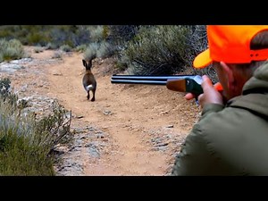 TOP 20 BEST SCENES OF Hunting Partridges and Hares Season 2024/2025 PART 1