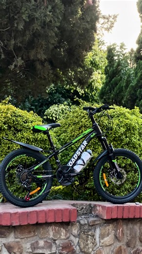 RoadStar Kids MTB: Perfect Mountain Bike for Young Riders