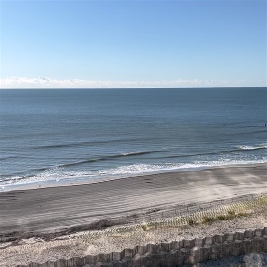 Paula Jones-Dickerson on Reels