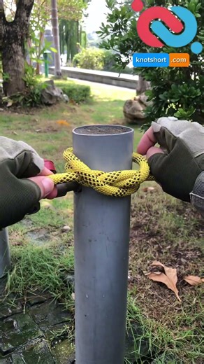 Constrictor Knot Made Easy in Seconds #knotshortchannel