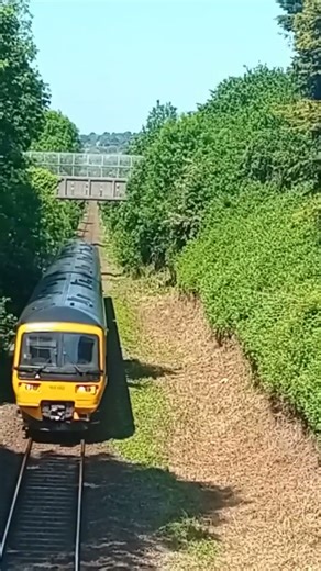 Class 166 very nice driver did his horn