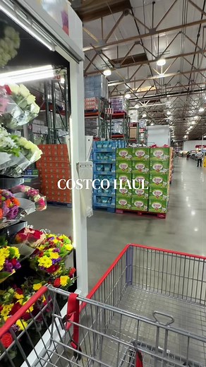 Successful trip 🙂‍↔️ #costcohaul #shopwithme #costcofinds #livealone #costco costco haul for one shop with me at Costco