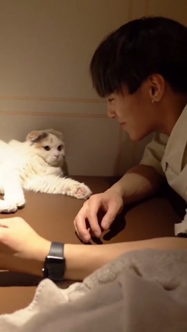 バディチャンの次回更新日と内容紹介