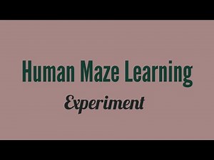 Human Maze Learning Experiment