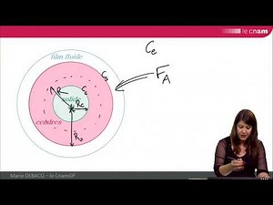 GRCpoly: presentation of the shrinking core model