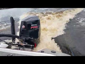 Mercury 300 Pro XS V8 four-stroke on 202 Blazer Bass boat
