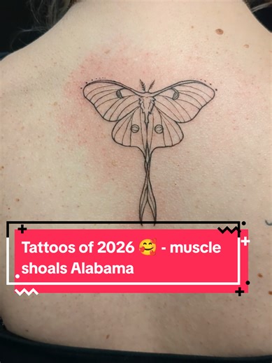 So grateful to continue doing all that I have 🥰. if you've got a tattoo you're wanting and you're around muscle shoals or Florence Alabama, come say hi! I've still got some availability left in January and most of February. #muscleshoalsalabama #florencealabama #tattoowork #tattooshop #tattooartistnearme