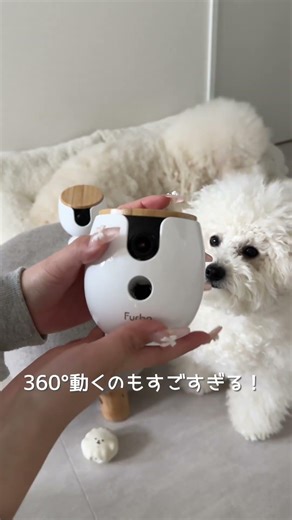 ペットカメラ紹介✨️