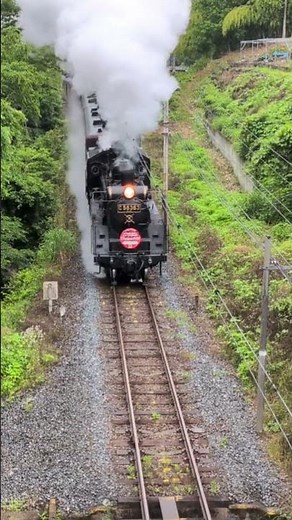 秩父鉄道パレオエクスプレス〜SLコモディイイダエクスプレス