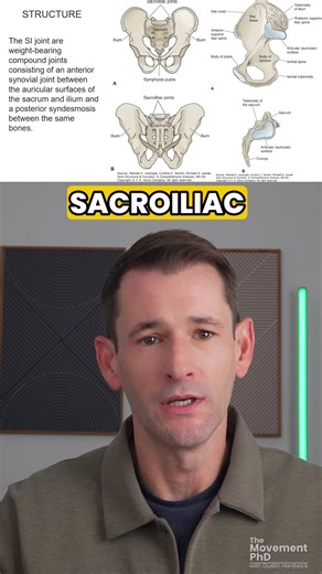 Sacroiliac Joint: Structure and Function #ptstudent #physicaltherapy