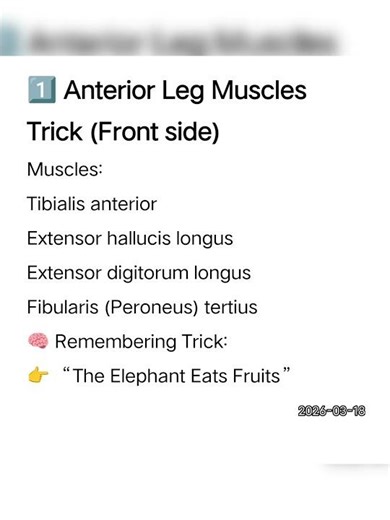 Leg Muscles Remembering Tricks 🦵 | Anatomy Mnemonics for Nursing & Medical Students