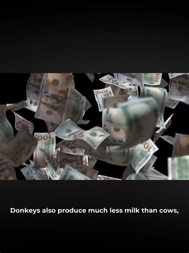 The World’s Most Expensive Cheese Costs HOW MUCH?! 🧀🤯