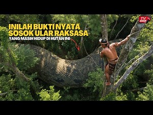 GOING VIRAL‼️This Shocking Footage Shows a Giant Snake in the Deep Amazon Forest...