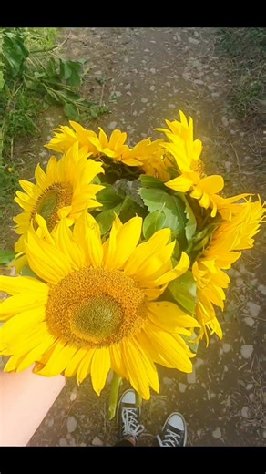 18K views · 42 reactions | Meet Miss East Belfast, Mackenzie Porter,...