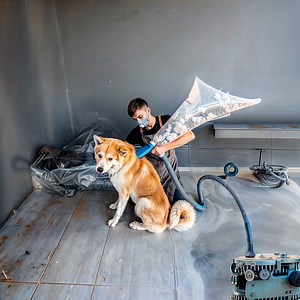 My dog is a hair donor! Recycling fur at home!