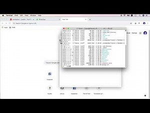 FIX COMPOSER Command Not Found on ZSH MAC