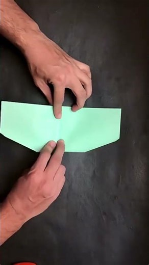 This paper airplane looks like a real bird #diy #papercraft