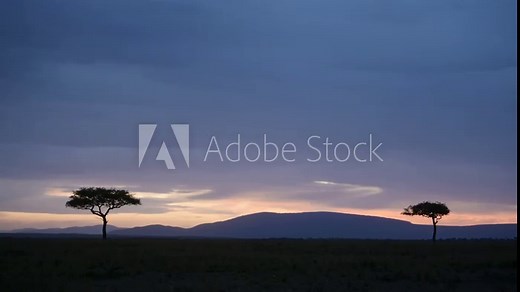 Beautiful Night Time Landscape of Africa Savanna and Acacia Trees in Masai Mara in Kenya, Dark Blue Moody Dramatic Stormy African Sky at Nighttime in Rainy Season, Background with Copy Space
