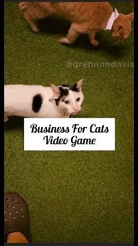 Business For Cats Video Game
