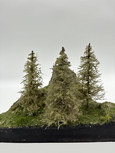 4" Model Blue Spruce Pine Tree - 3PCS Set - Etsy