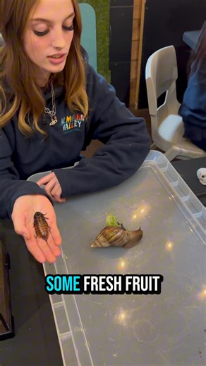 Our Annual Bug Experience was a HIT at the weekend! Here’s Charlie giving some extra insights into our bugs at Almond Valley! Big thank you to Mark from the team who let us borrow some of his pets for the weekend to showcase! Do you love bugs like Mark, or do you find them a bit spooky? 🕷️🫣 | Almond Valley Heritage Centre